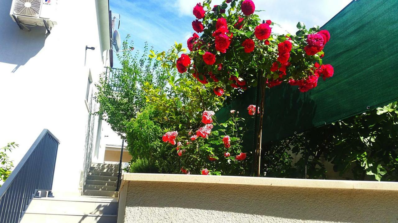 Adriatic Pearl Korcula Apartments エクステリア 写真